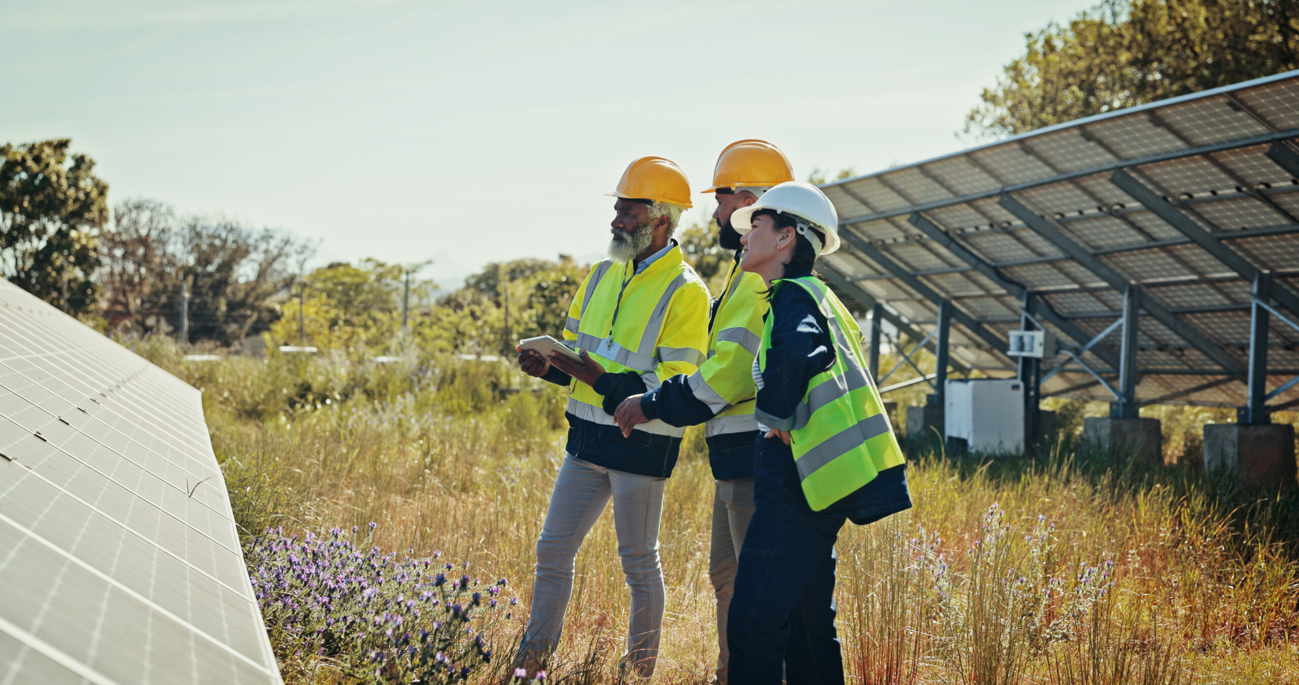 business people technician and team with solar pa 2026 01 09 11 29 44 utc 1 scaled